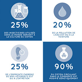 infographie histoire site web