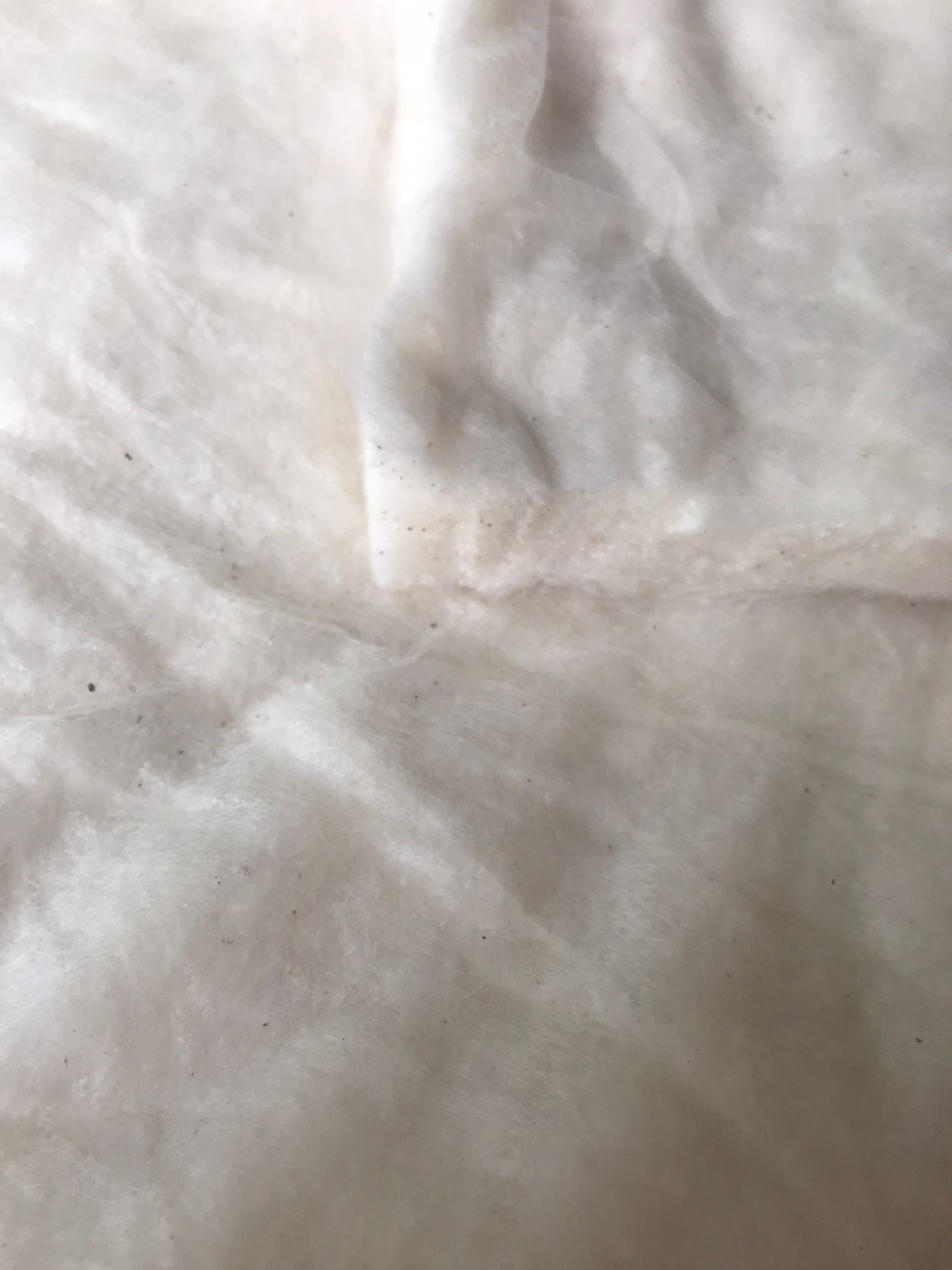 Ouate de coton bio